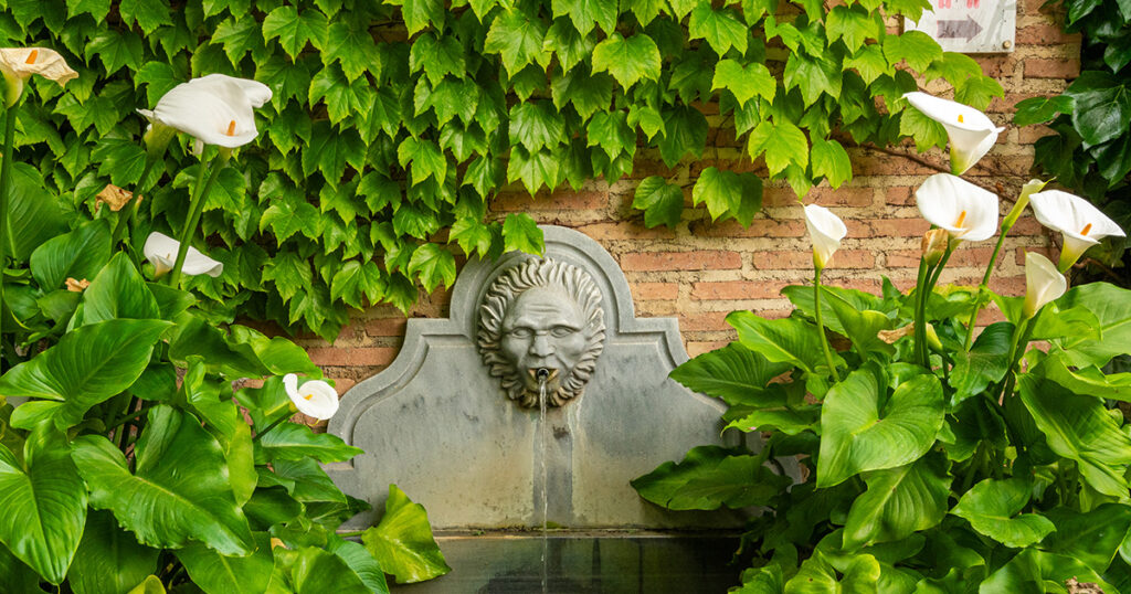 El agua que se sirve en el restaurante Aben Humeya en Ganada proviene de un aljibe medieval del Albaicín