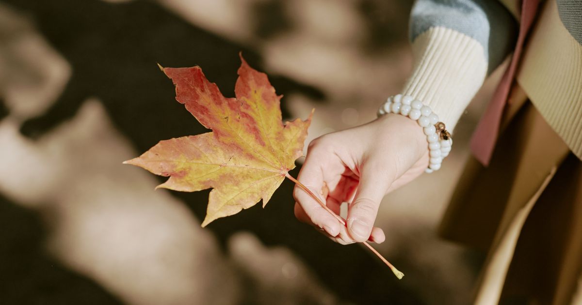 Escapada de otoño granada y el albaicin